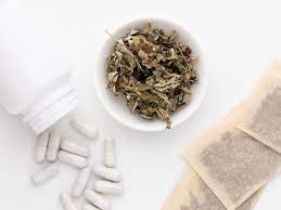 Mugwort Benefits Side Effects Dosage And Interactions