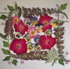 Dianne Randazzo On Instagram And Gather It All With A Basket Of Flowers Lyrics By Simon Garfunkel Flower Basket Butterfly Bush Botanical Art