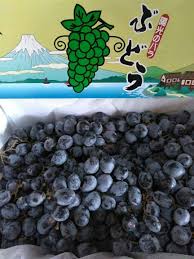 Di video kali ini berisi tutorial mewarnai gambar buah anggur dengan mudah dan menyenangkan. Jual Buah Anggur Hitam Autumn China Per 1dus Toko Buah Grosir Dan Eceran Wa 0899 2555 431 Jakarta Barat Facebook