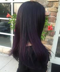 Black And Dark Purple Hair My Hair Midnight Purple Ombre Purple Hair Dark Purple Hair Hair