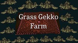 Grass Gekko Farms - Don't Starve Together - YouTube
