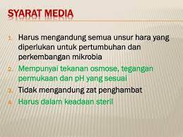 Pdf | penelitian ini bertujuan untuk mengetahui isolat bakteri dari candi borobudur dan penghambatan pertumbuhan bakteri dengan minyak segera dimasukkan ke autoklaf untuk melakukan sterilisasi. Media Bakteri Dan Jamur Ppt Download