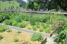 Wohin sie auch schauen, in der natur ist das mulchen teil des natürlichen kreislaufs: Mulchen Im Garten Native Plants