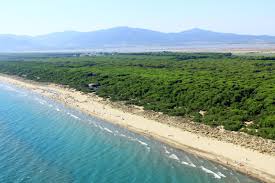 Air conditioning, washing machine, coffee maker and dishwasher. Vacanze Col Cane Visita La Provincia Di Grosseto