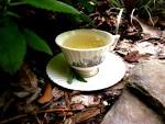 Tea türke, anlam nedir ne demek türkesi - ngilizce Türke eviri