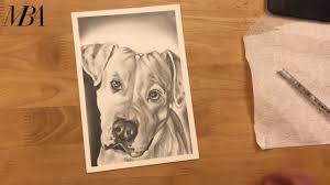 Dog Pencil Sketch Shading Staffordshire Bull Terrier Youtube In 2020 Pencil Sketch Staffordshire Bull Terrier Bull Terrier