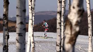 Hier finden sie einen überblick über alle meldungen und informationen zur österreichischen skilangläuferin. Winter Olympics News Wrong Turn Costs Austria S Teresa Stadlober Silver Medal