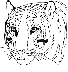 Tiger and goat become best buddies diego tiger face painting design once upon a time, i am tiger tiger face painting for children bengal tiger face painting how to draw a sabertooth for kids tiger dot to dot game tiger costume pirate, tiger and bee carnival costumes tiger and elf kid costumes tiger find the differences game tiger picture tiger fantasy kawaii tiger how to draw a tiger ice age 3. Tiger Coloring Pages