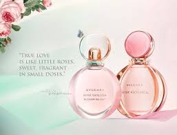 Parfum wanita yang wangi dan tahan lama tidak selalu mahal kok! Identik Dengan Bunga Mawar 6 Parfum Aroma Mawar Ini Jadi Favorit Wanita Idaman Klik Hijau