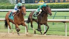 Image result for Love and The Pyldriver racehorses
