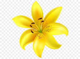 It looks like it's a photomontage, a creation of new design. Flowers Clipart Background