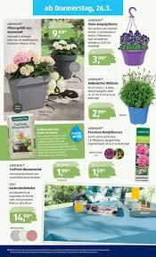 Wir vern dir, die aktuellen top aufbewahrungsbox garten aldi kurz und schätzungsweise vorzustellen und dir einen groben überblick, über ebendiese. Aldi Garten Prospekt Pflanzen Garten Ampelpflanzen