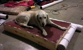 It is also an easy way to hold everything together if learning how to make a dog bed is one of your first sewing projects. Diy Air Conditioned Dog Bed Is Affordable And Easy To Make Homecrux