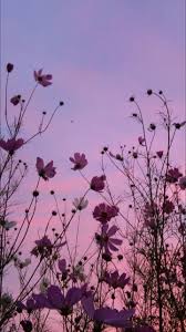 We did not find results for: Flowers Sun And Cloud Image 6780351 On Favim Com