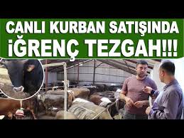 Antalya Hayvan Pazarinda Kurban Fiyatlari Vatandas Dertli Youtube