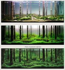 The Magical World Of Aquascaping X2f Living Terrariums With Pictures Page 1 Aquarium Landscape Fish Tank Aquascape
