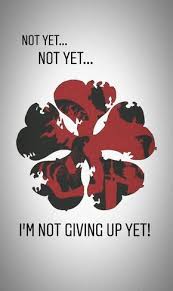 5 Leaf Clover Black Clover Asta Grimoire Blackclover Asta Grimoire Fiveleafclover Black Clover Wallpaper Wallpapers Black Clover Anime Black Clover Manga Clover Tattoos