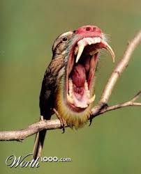 Animal Crossbreed Worth1000 Contests Photoshopped Animals Animal Mashups Animals