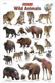 Pin By Roy Davies On Animal Kingdom Animals Polar Animals