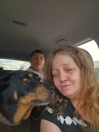 Pet passed away at rainbow bridge