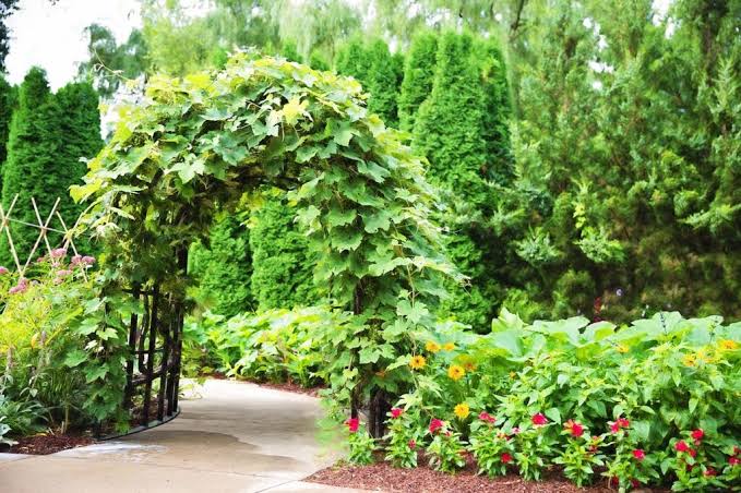 arbor on your secret garden