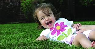 The organic turf company's organic lawn care service as one of the largest and fastest growing lawn care companies in the dayton and cincinnati region, we have been more > lawn aeration service. Why Organic Purelawn Cincinnati Dayton Organic Lawn Care Service