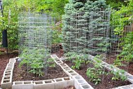 You can even create a lovely nook or cozy space, just large enough for a small chair to enjoy. 24 Awesome Ideas For Backyard Vegetable Gardens Page 3 Of 5