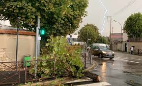 Maybe you would like to learn more about one of these? Orages Un Arbre Tombe Sur Un Passage Pieton Entre La Rue De La Haye Et L Avenue Foch Mureaux Actu