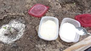 The principle behind adding tums to the garden soil is based on its formulation. Adding Calcium And Magnesium To Tomato Plants Youtube