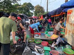 Chợ đầu mối phía nam. Dan Cáº¡n Tui Tiá»n Chen Chan Ä'i Chá»£ Ä'áº§u Má»'i Mua Hang Gia Ráº» Vietnamnet