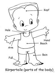Jul 17, 2021 · all about me coloring page partes do corpo, atividades. German Parts Of The Body Deutsche Korperteile By Andrew Cole Tpt
