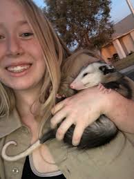 Find opening hours and closing hours from the pet stores & supplies category in las vegas, nv and other contact details such as address, phone number, website. Rare Exotic Pets For Sale Petfinder