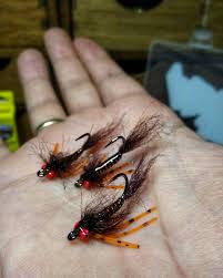 Aucune Description De Photo Disponible Fish Fly Fishing Flying