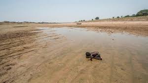 Image result for imagesof dried river in summer