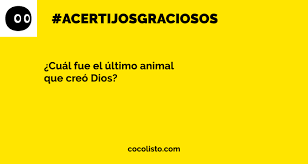 Los retos mentales, también conocidos como juegos mentales, son una forma lúdica de ejercitar el cerebro a través de pruebas de inteligencia, lógica. Mas De 10 Acertijos Graciosos Con Respuestas Cocolisto