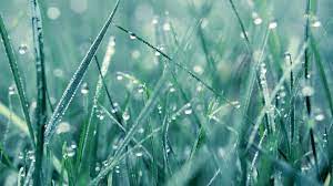 Rain Wallpaper Vanerich 37 Hd Wallpaper Rain Wallpapers Wallpaper Mandala Wallpaper