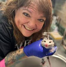 Can someone rescue a baby rabbit in Allen, Texas?