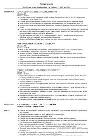 application security resume samples