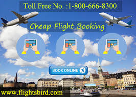 Book Cheap Flight Today At Flightsbird Pay Less Save More Flights To Manchester Airport Man From Flor Cheap Flights Book Cheap Flights Buy Flight Tickets