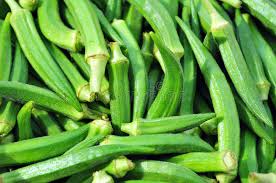 Okra, a herbaceous hairy annual plant of the mallow family and its edible podlike fruits. Okra Lady Finger Stock Photo Image Of Vegetable Greens 8370978