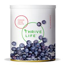 Freeze Dried Blueberries Fruits