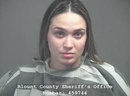 Blount county arrest records available