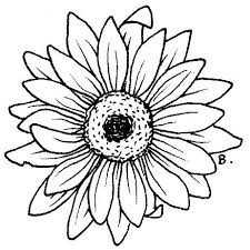 The adorable daisy on this coloring sheet is guaranteed to make your little one smile as he adds some bright color to it. Free Coloring Pages Daisy Flower Creative Art