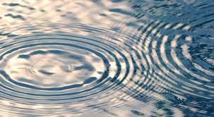 1,239 likes · 106 talking about this. The Digital Ripple Effect The Mx Group