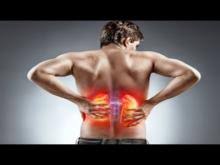 7 Things To Know About Kidney Function National Kidney Foundation