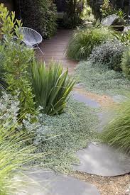 Trittplatten Zwischen Splitt Australian Garden Backyard Garden Design Beautiful Gardens