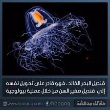 pin on حقائق مدهشة