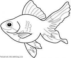 Cara membuat gambar kolase beserta contoh bagi info. 5800 Kolase Ikan Nemo Terbaru Kumpulan Gambar Kolase