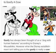 If you are a fan of disney, then you have probably seen goofy—the lovable but clumsy comic relief in disney's. Is Goofy A Dog Disney Petfinder