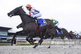 Compare detailed statistics for celine gaudray including win performance, strike rates and betting odds. Mayan Makes It Two Mcevoy Mitchell Racing